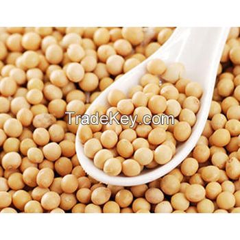 Soybeans ,Non gmo yellow soybean ,soya bean seed 