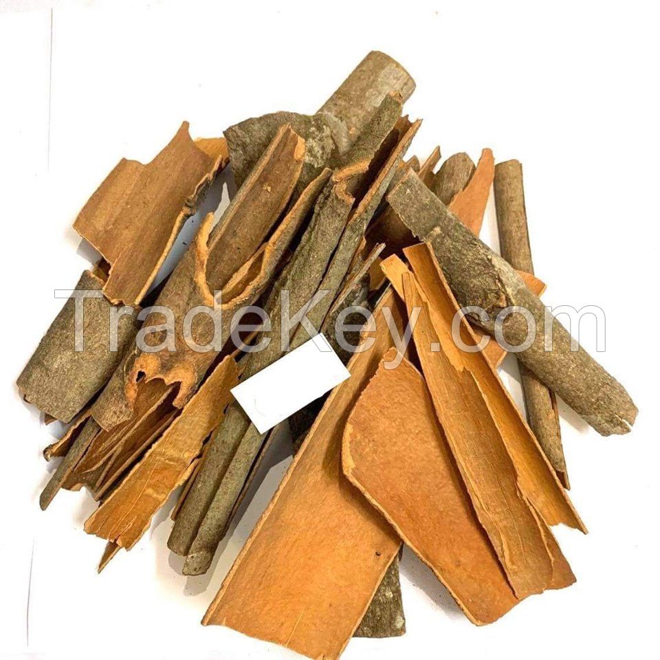Split cinnamon with competetive price