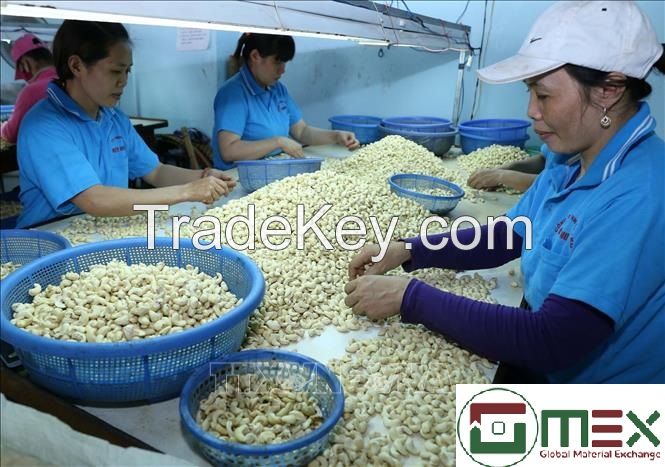BEST DISCOUNT FOR CASHEW NUTS FROM VIET NAM 100% NATURAL