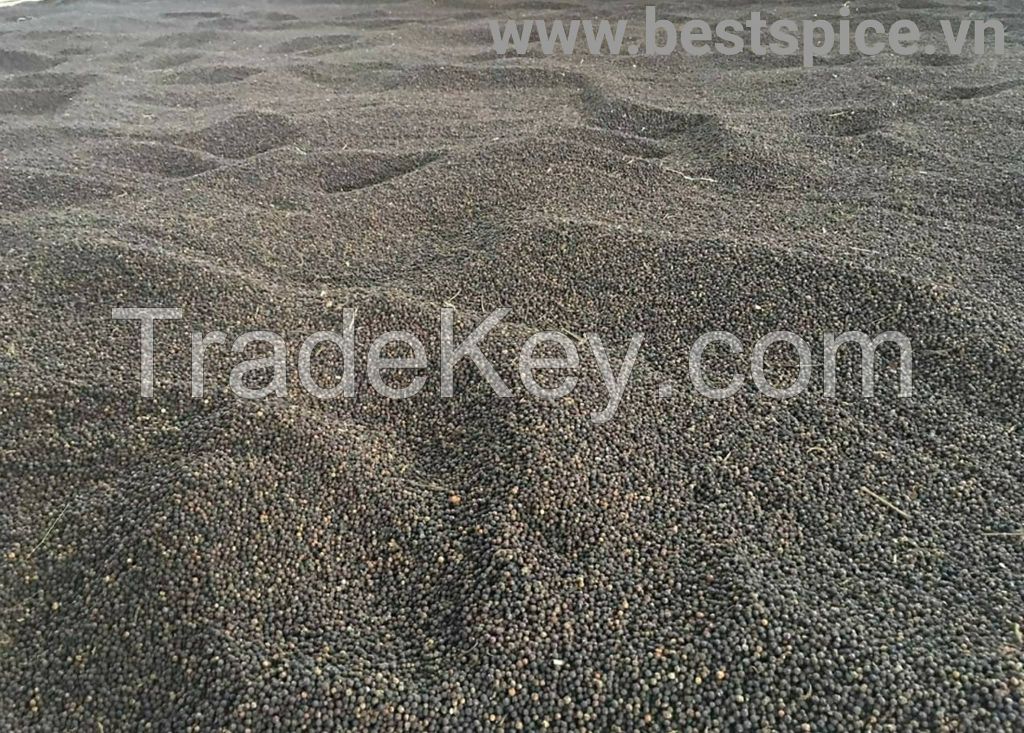 Vietnam Black Pepper Natural Flavour- Best Price and High Quality    henry: +84832137609       hotline: +976776168