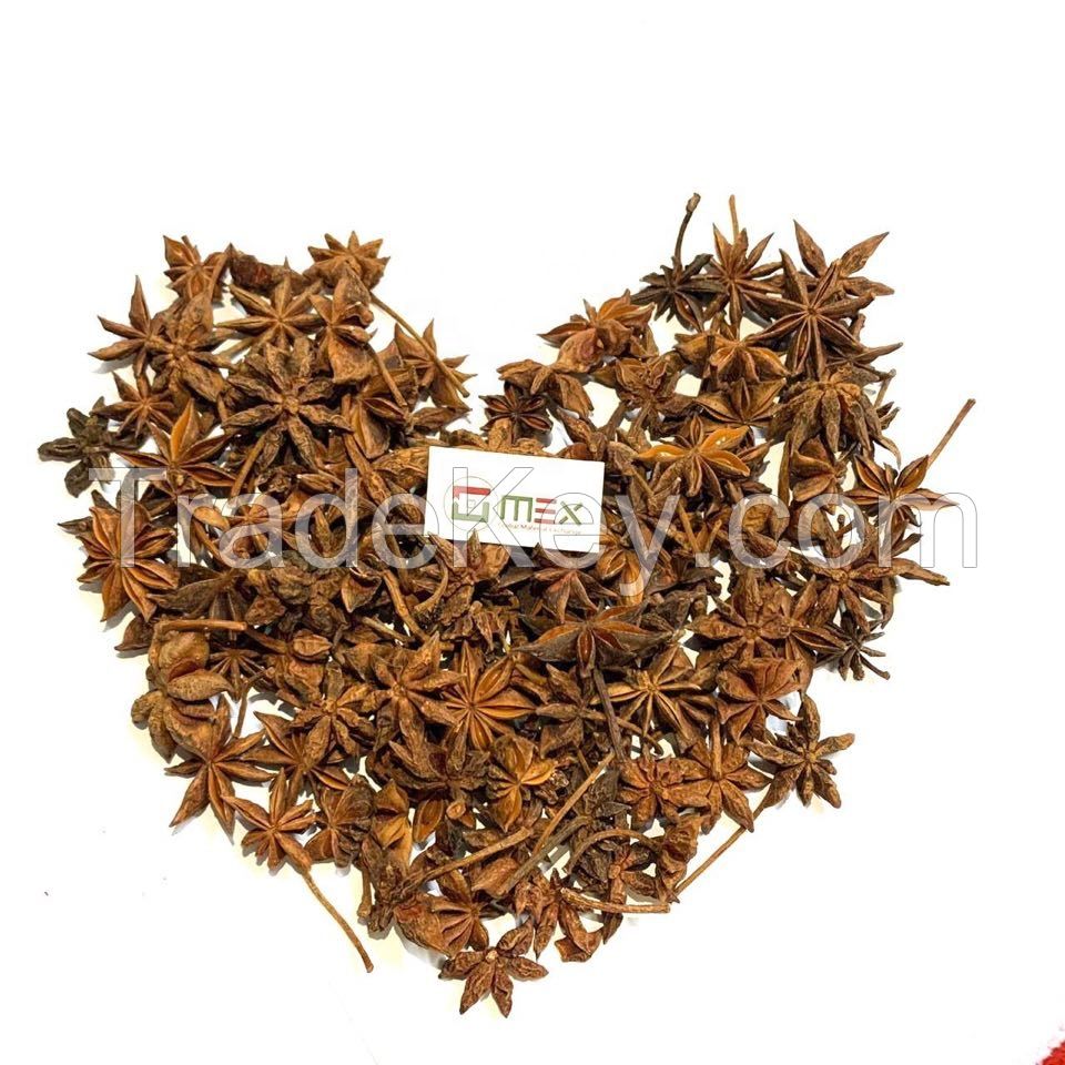 Vietnam Best Quality Cheap price Star Anise