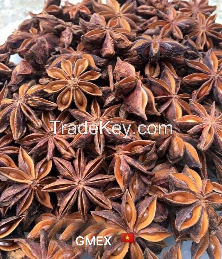 Vietnam Best Quality Cheap price Star Anise