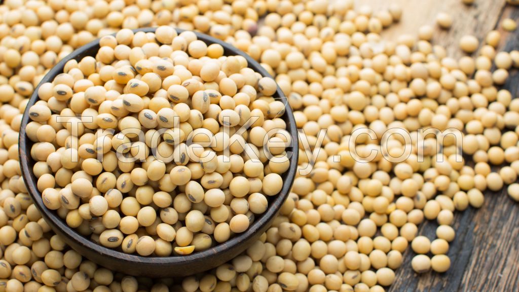 SOYBEANS