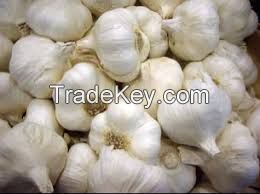 Indian Fresh Garlic