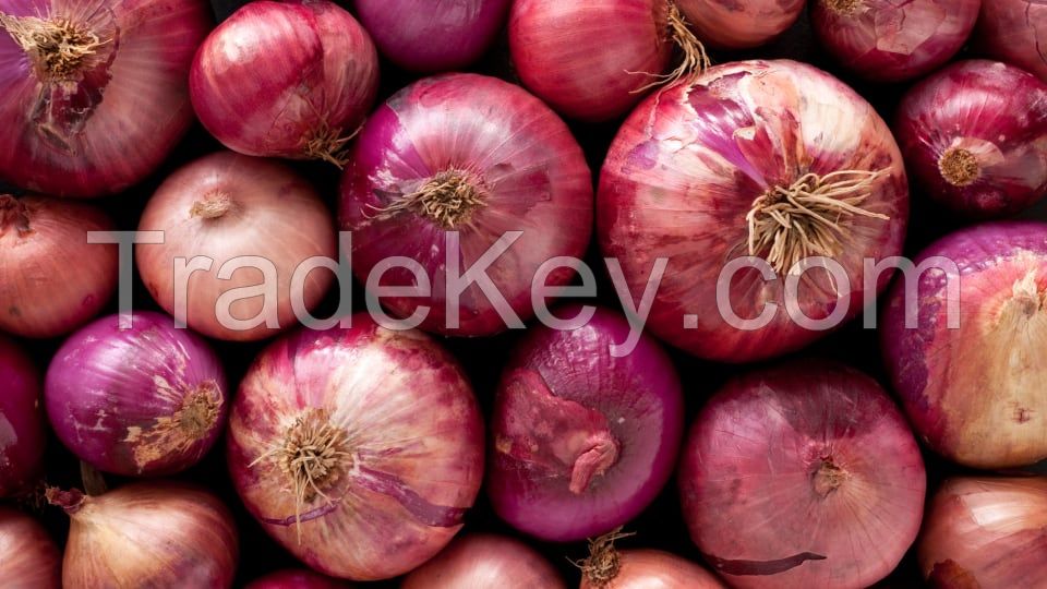 Red Onions/ White Onion