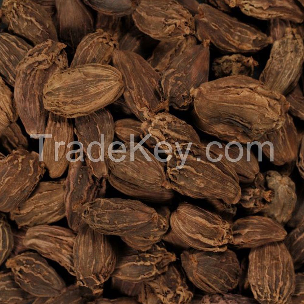 Caraway Seeds