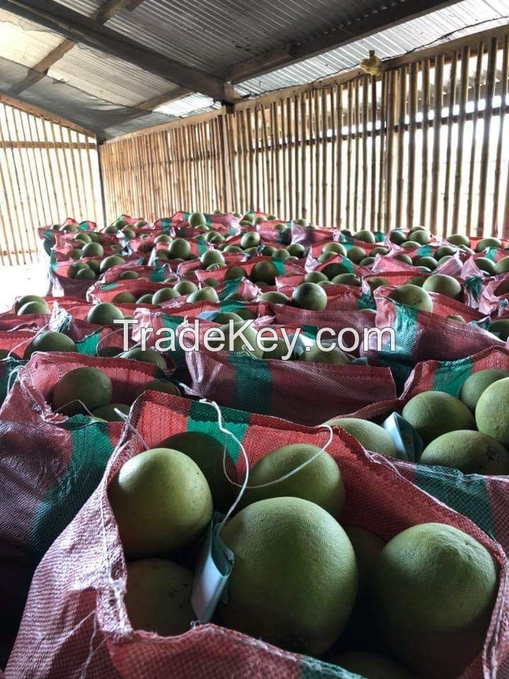 Davao Pomelo Philippines