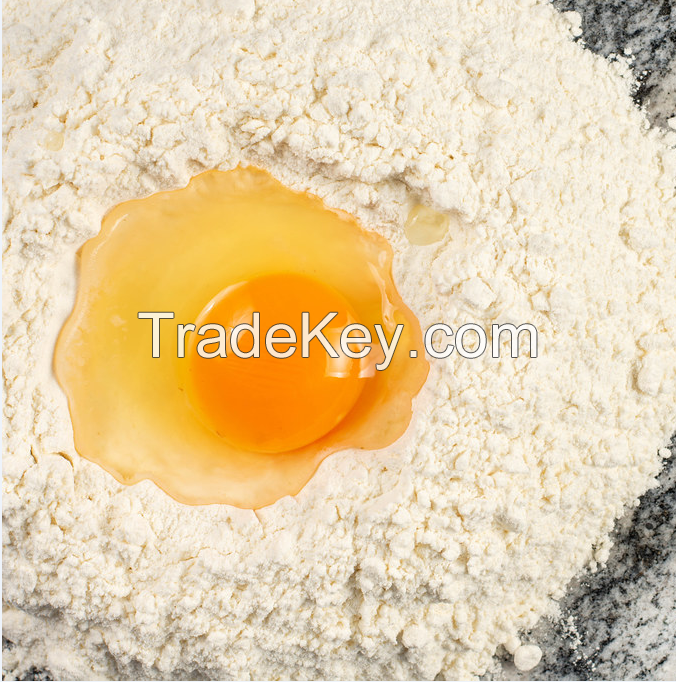 100% PURE ORGANIC EGG WHITE EXTRACT POWDER/VIETNAM HIGH QUALITY EGG WHITE POWDER FOR FOOD HOT PRODUCT 2020 (FIONA: +84 896611913
