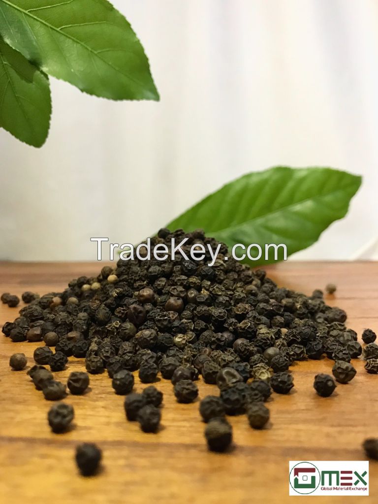 Black Pepper in Vietnam