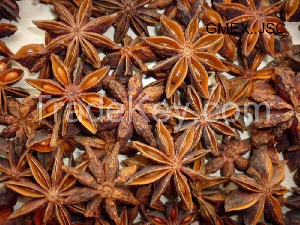 Star Anise- High quality in Vietnam