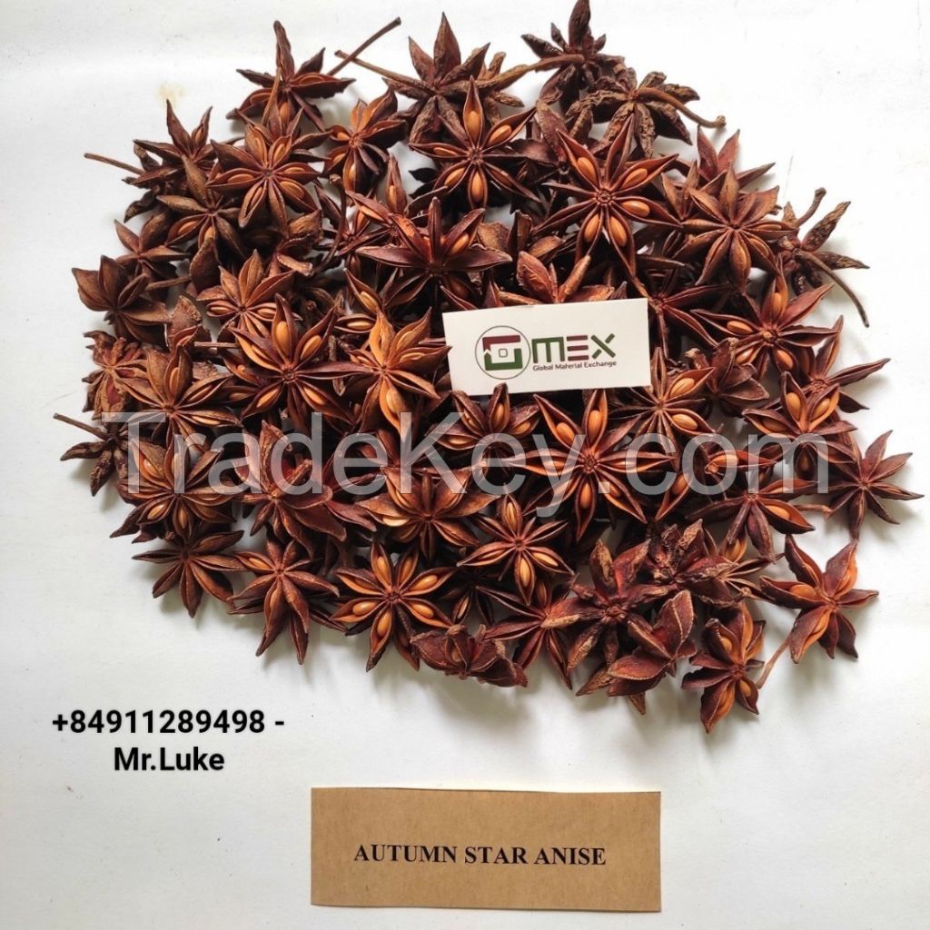 dried star anise hot selling product raw material lang son aniseed viet nam herbs and spicy high quality