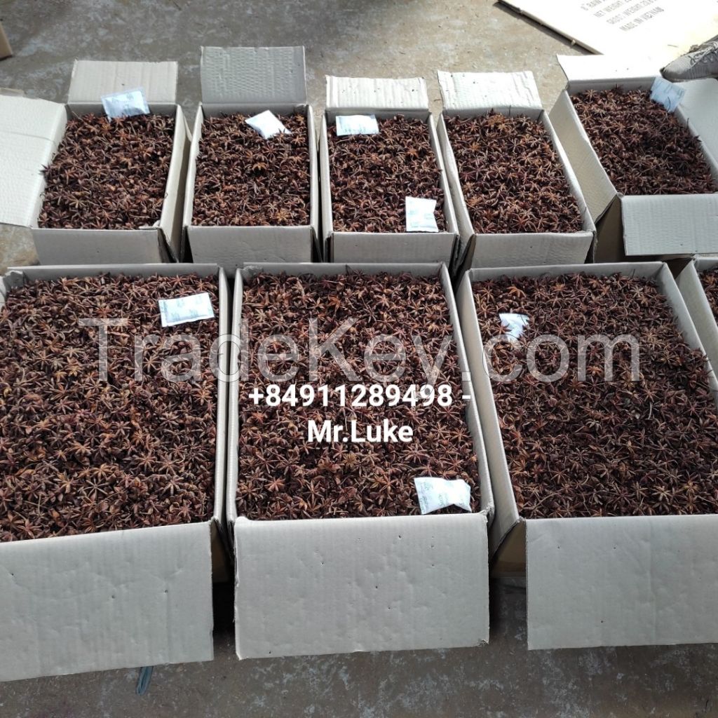 dried star anise hot selling product raw material lang son aniseed viet nam herbs and spicy high quality