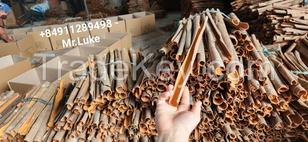 Vietnamese split cassia cinnamon rolled in premium taste and high oil