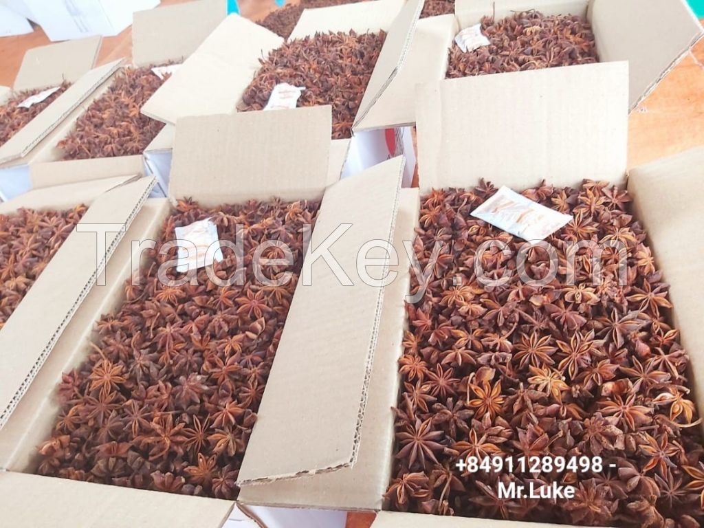 vietnam star anise autumn new crop 2023 dried product hot taste