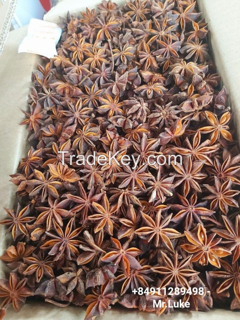 vietnam star anise autumn new crop 2023 dried product hot taste