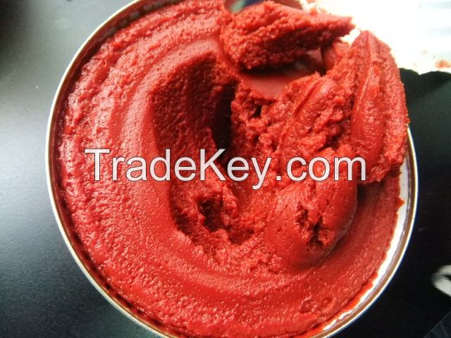 CANNED TOMATO PASTE