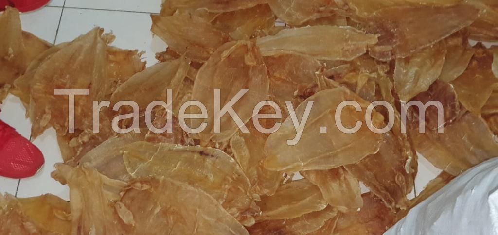 DRIED FISH MAW CORVINA PANAMA