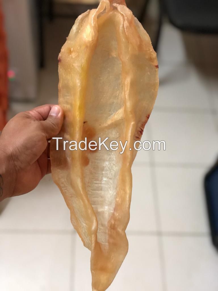 DRIED FISH MAW CORVINA PANAMA