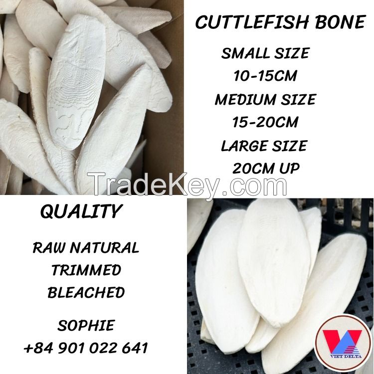 Cuttlefish Bone For Bird Feed WhatsApp:+84 901 022 641