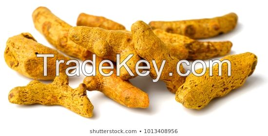 Turmeric