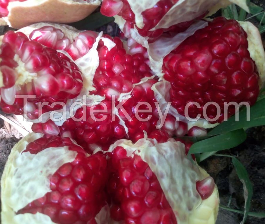 Fresh Pomegranates