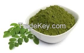 Clean dried moringa leaf powder
