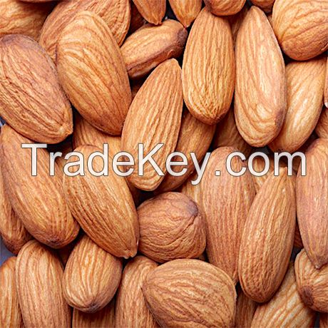 Grade A Almond Nuts / Raw Natural Almond Nuts / Organic Bitter Almonds