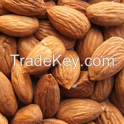 Grade A Almond Nuts / Raw Natural Almond Nuts / Organic Bitter Almonds