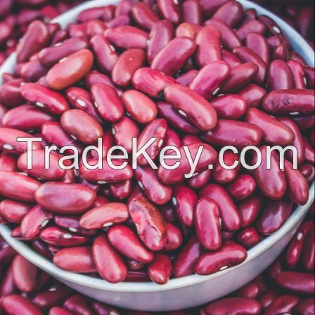 Organic Dark Red kidney bean