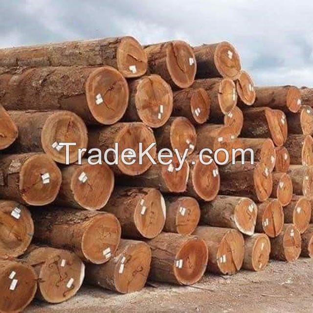 Timber Logs, Hard/Soft Wood.