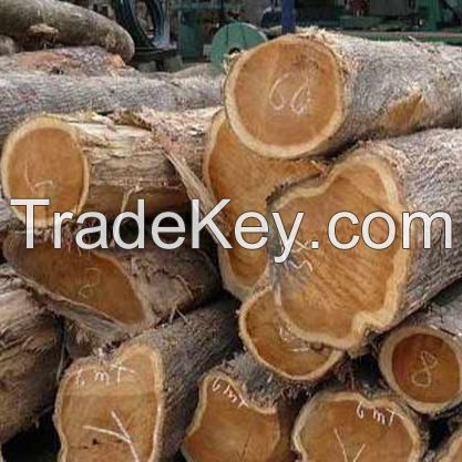 Timber Logs, Hard/Soft Wood.