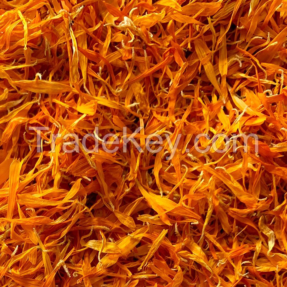 Calendula Petal