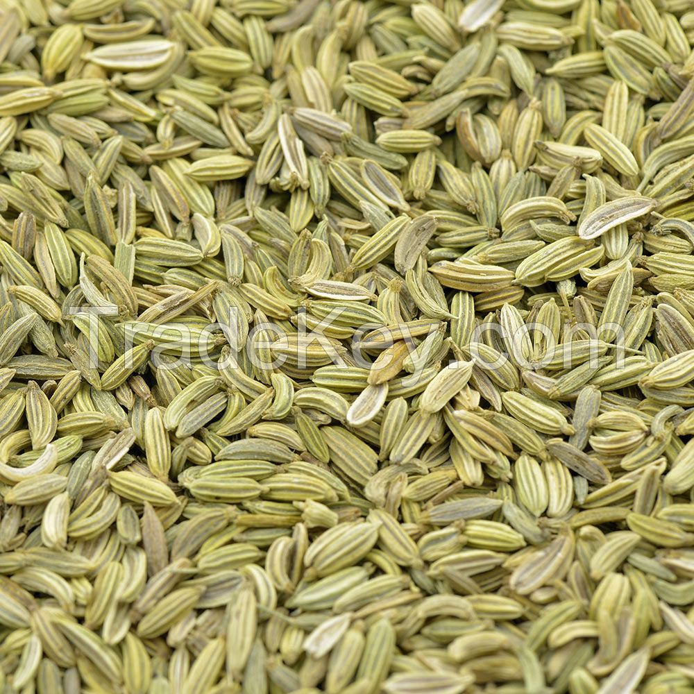 Fennel