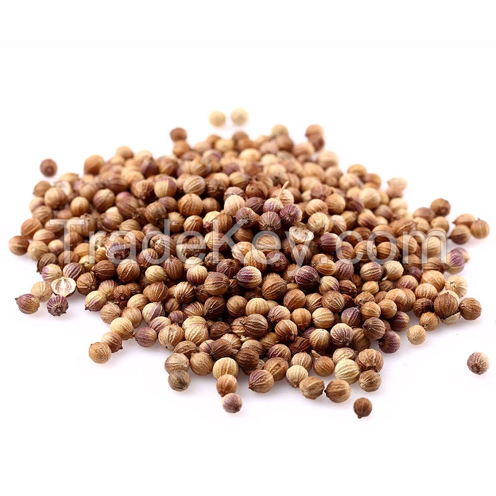 Coriander Seeds