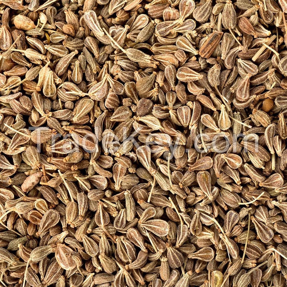 Anise Seeds