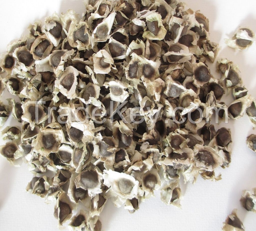 Organic Moringa seeds