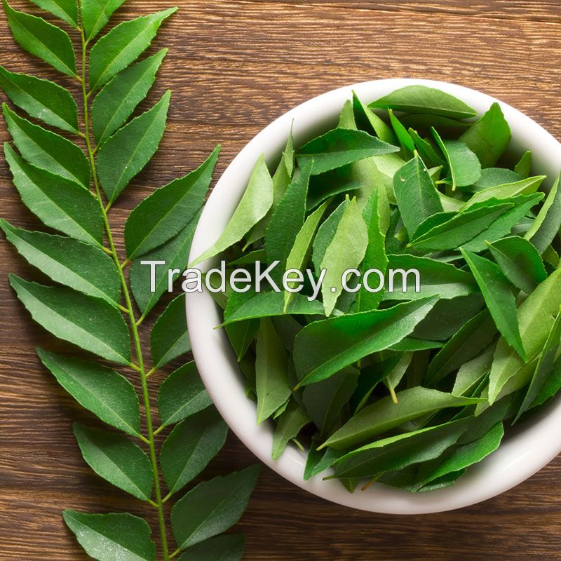 curry leaves 