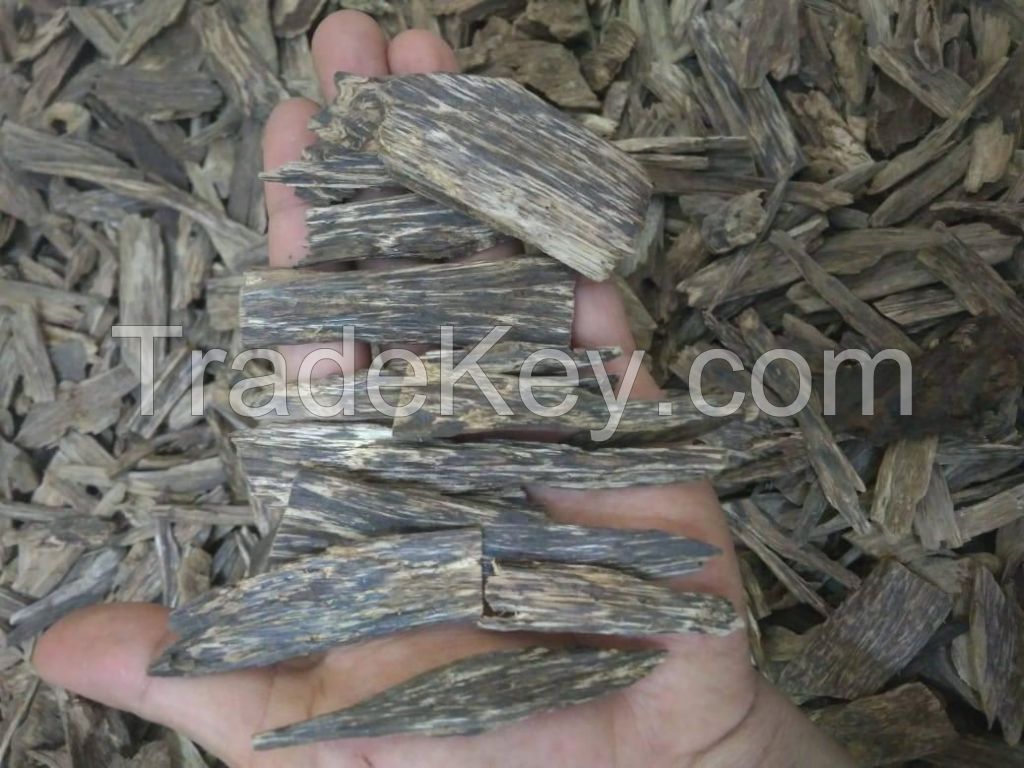 Agarwood Chips, Agarwood solid Cut Pieces, Agarwood Oils, all types of Agarwood Product.