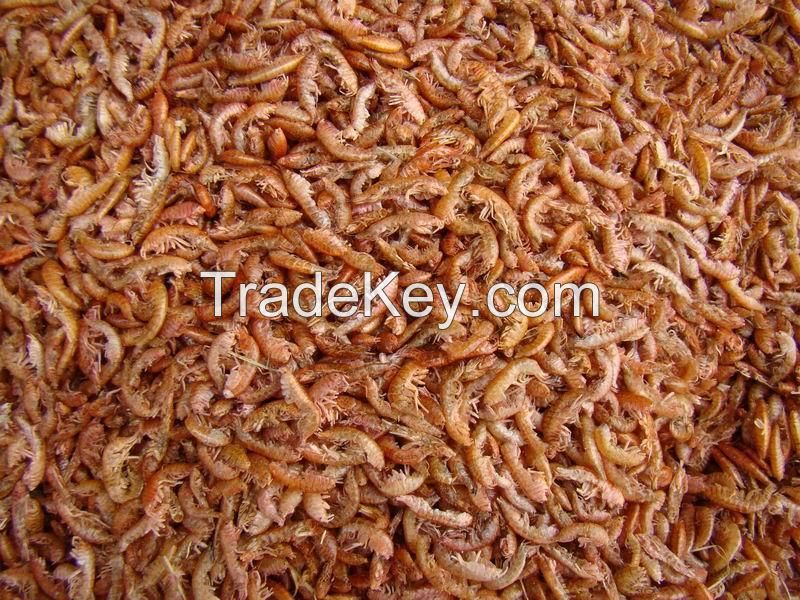 Dried Crayfish Crushed and Uncrushed