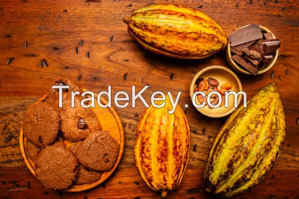 Cocoa Beans