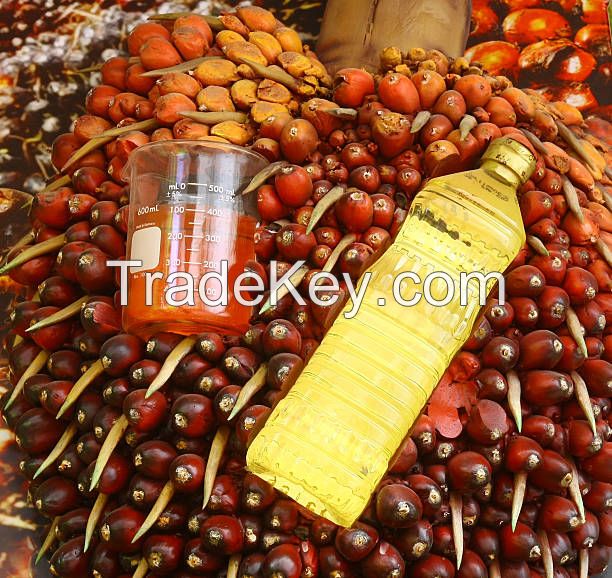 Palm oil - Oil palm fruit/Palm kernels, ...