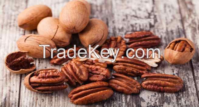 Pecan Nuts