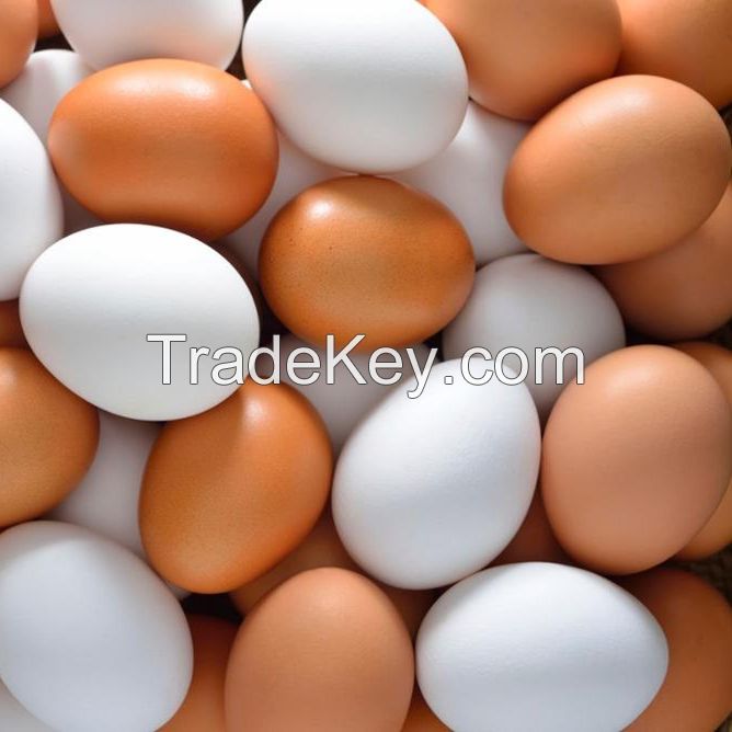 Fresh White and brown eggs