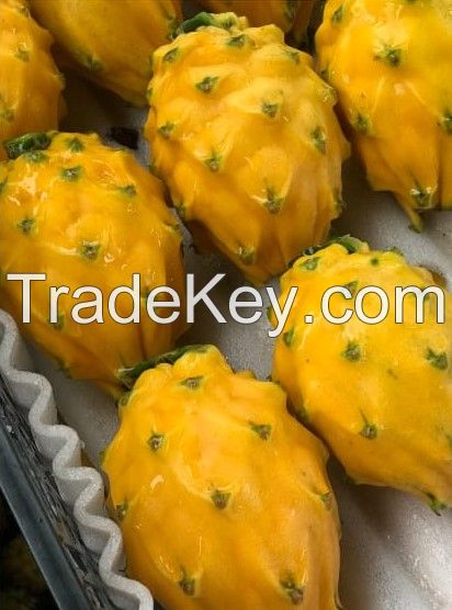 Yellow Dragon Fruit