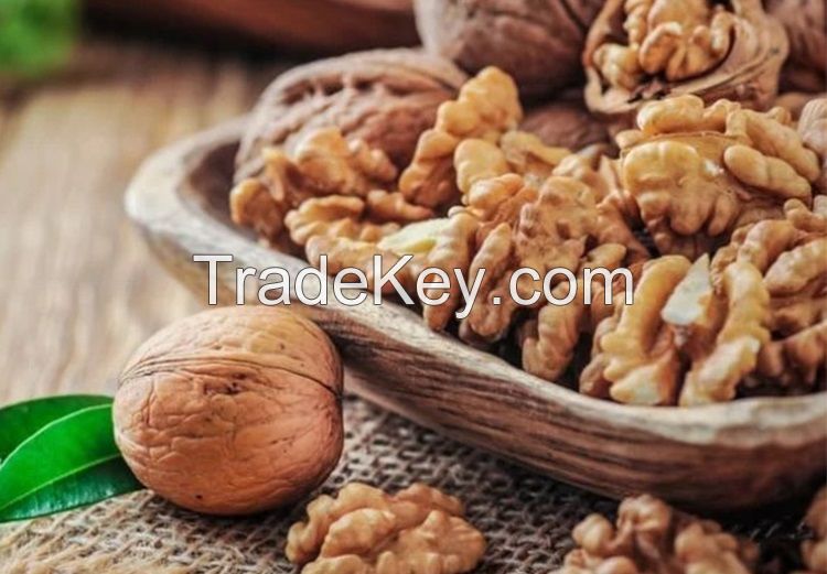 Raw Walnut Organic Walnuts Wholesale Price Walnuts Kernels