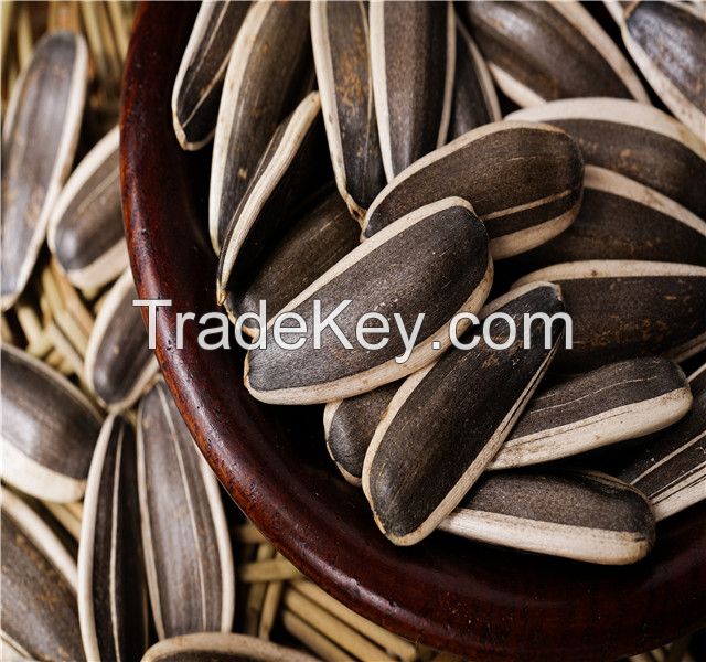 sunflower seeds for sale