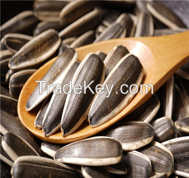 sunflower seeds for sale