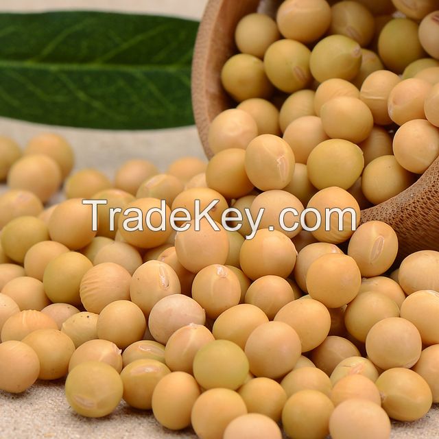 High Quality Soybeans For Sale