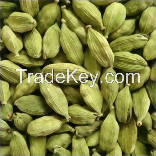 High quality Dried green cardamom / Dried Black cardamom/ Quality Green Cardamom