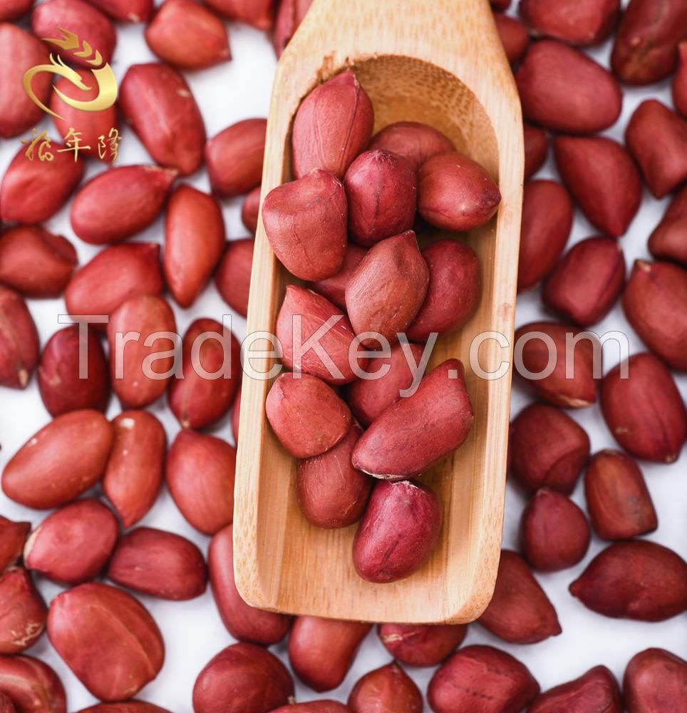 Hot Sale High Protein Red Skin Peanuts